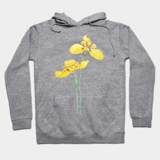 yellow iris flower watercolor Hoodie